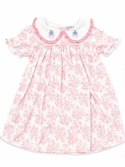 6T SCHOOL APPLE PRINT DRESS