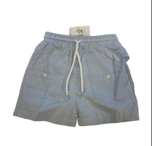 BLUE GINGHAM SHORTS/TRUNKS